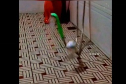 Clip hài hước - "Kiếp nạn" khó tránh khi mua hàng qua mạng