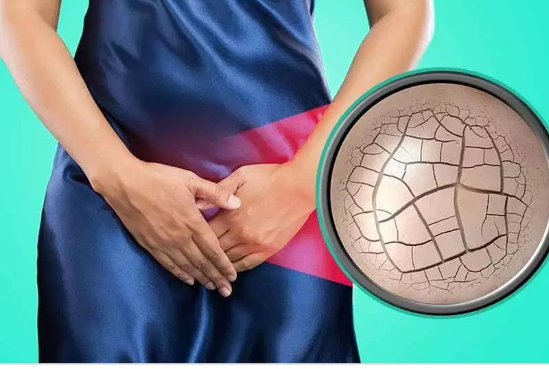 Khi hệ miễn dịch suy giảm, dễ gây viêm nhiễm phụ khoa và dẫn đến khô âm đạo