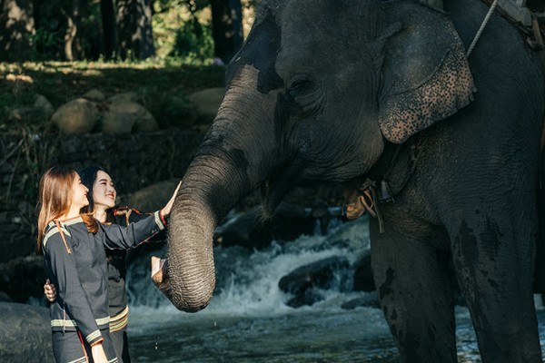 Thông điệp “Tôi cười cùng voi, tôi ngưng cưỡi voi” được Trung tâm du lịch Cầu Treo buôn Đôn truyền thông mạnh mẽ để lan tỏa thông điệp bảo vệ loài voi. Ảnh: Mán Hwing Bun.