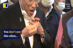 Thế giới - Trung Quốc cấm nhập khẩu hải sản: Nhật Bản ứng phó ra sao?