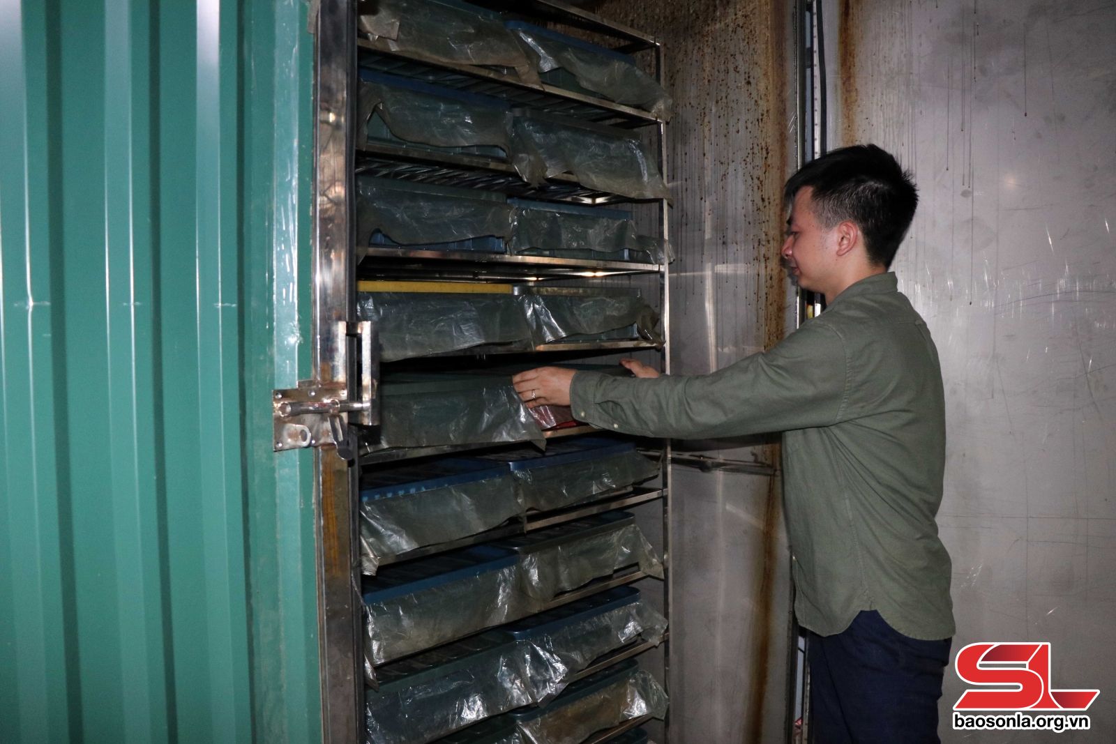 Máy lên men tỏi đen tự chế của HTX Tuổi trẻ 26/3.