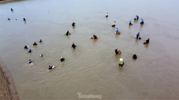 Hay tin chủ hồ tổ chức bán vé cho mọi người xuống bắt cá có kích thước lớn, khoảng 100 “nơm thủ” ở thành phố Hà Tĩnh đã mua vé, xuống hồ đánh bắt bắt cá.