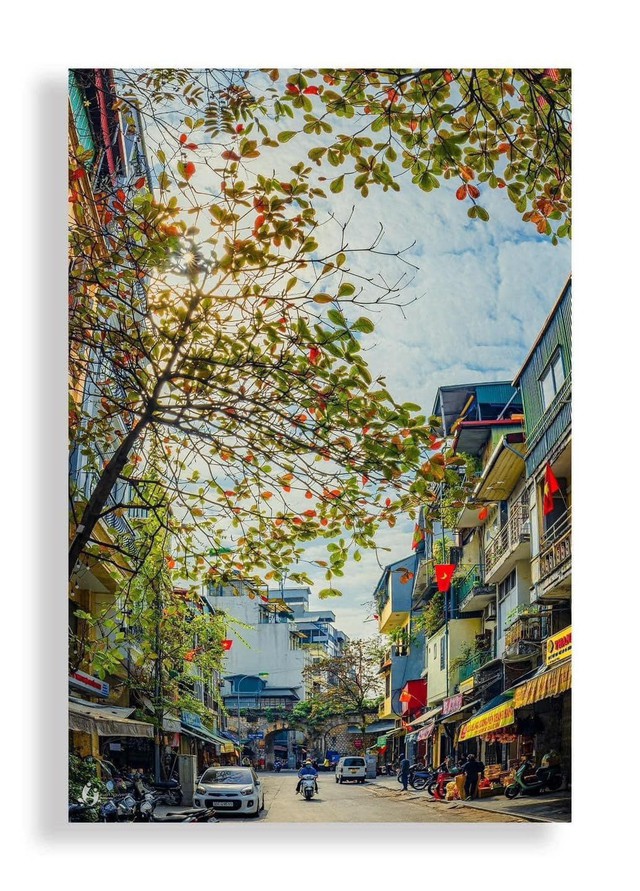 Nhất định nên tận hưởng cảm giác thanh cảnh, chụp ảnh lưu giữ cùng năng mùa thu Hà Nội nhé. (Ảnh: Hà Nội Fan)