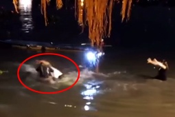 Tin tức trong ngày - Bình Thạnh thông tin về clip xô xát khi thả cá phóng sinh ở chùa Diệu Pháp