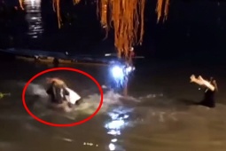 Tin tức trong ngày - Bình Thạnh thông tin về clip xô xát khi thả cá phóng sinh ở chùa Diệu Pháp