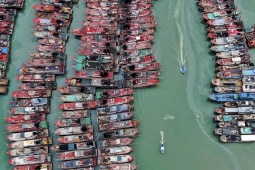 Thế giới - Trung Quốc: Siêu bão Saola áp sát, quan chức tỉnh kêu gọi sẵn sàng "chiến đấu"