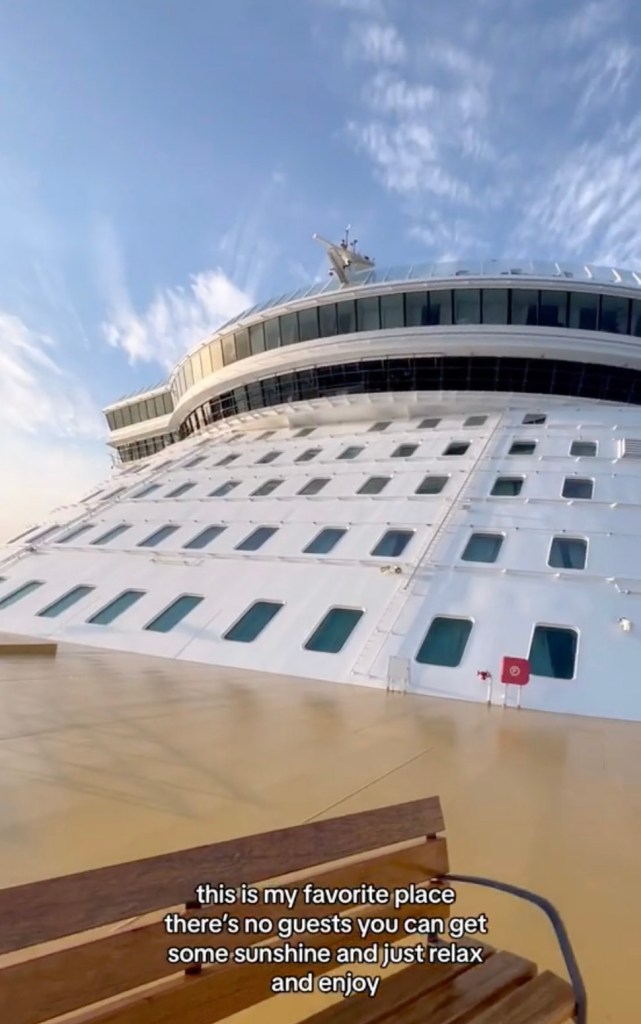 Nhân viên của Cruise cũng được thưởng thức tiệc buffet, bữa tiệc và phòng trò chơi riêng biệt và thậm chí còn được cấp quyền sử dụng không gian riêng tư cách xa khách.