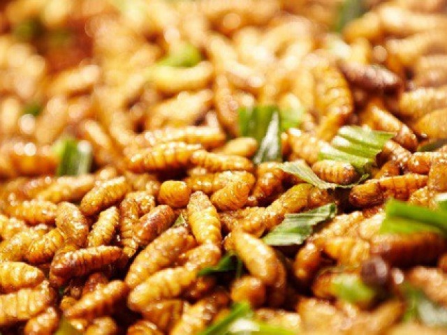 Ẩm thực - Nhộng ong- đặc sản siêu bổ dưỡng nhưng dễ gây dị ứng nếu chế biến sai cách