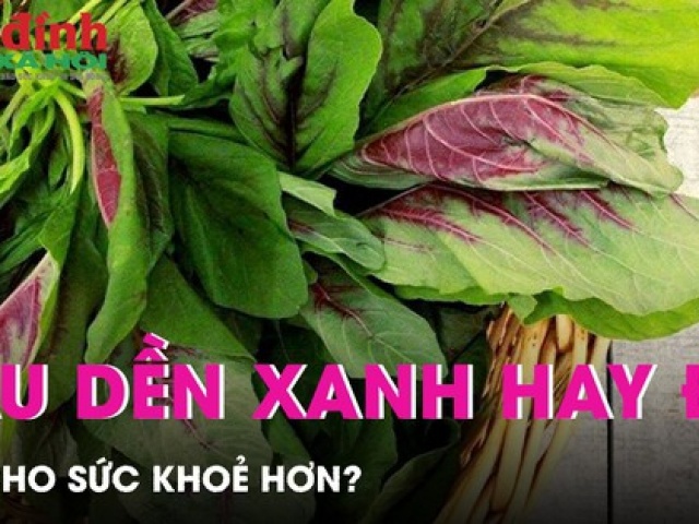 Ẩm thực - Rau dền xanh hay rau dền đỏ tốt cho sức khoẻ hơn?