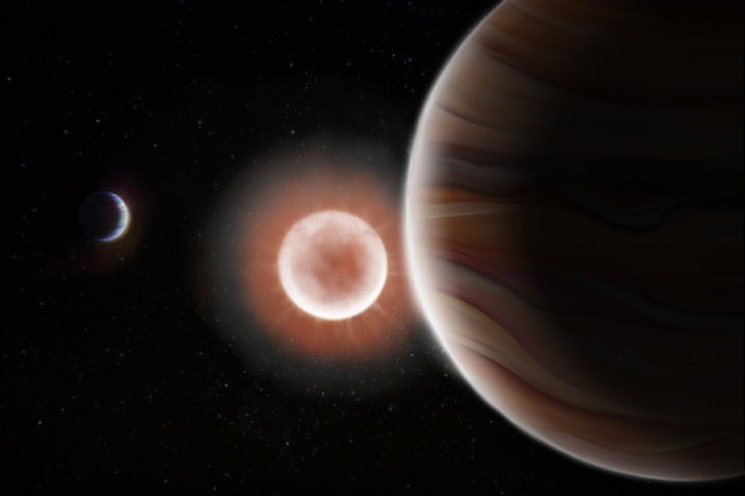 Sao lùn đỏ TOI-4600 và hai "gã khổng lồ khí" mà nó nuôi dưỡng - Ảnh đồ họa: Tedi Vick