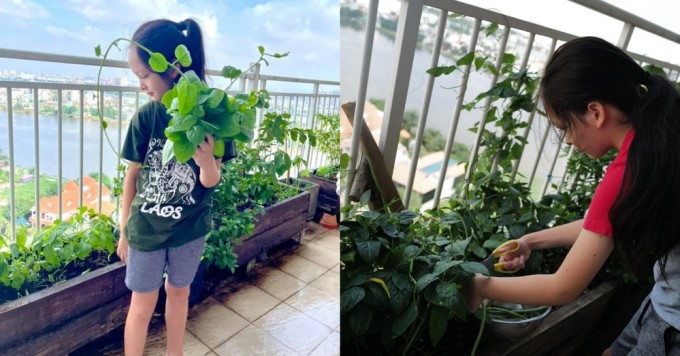 Khu vườn nhỏ của Tôm