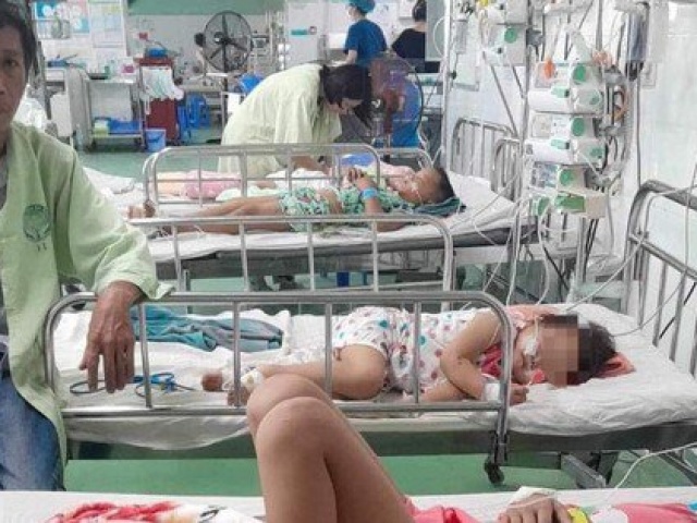 Sức khỏe đời sống - Quảng Nam: Bốn mẹ con bị đàn ong vò vẽ đốt phải nhập viện