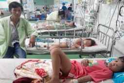 Tin tức trong ngày - Bị ong vò vẽ đốt, người mẹ hôn mê và 3 con nhỏ bị thương tích nặng