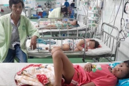 Tin tức trong ngày - Bị ong vò vẽ đốt, người mẹ hôn mê và 3 con nhỏ bị thương tích nặng