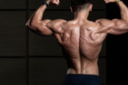 Sức khỏe đời sống - Tập gym để vạm vỡ nhưng... teo tinh hoàn