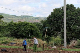 Tin tức trong ngày - Tai nạn khi sửa điện, 2 công nhân thương vong