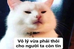 Cười 24H - Truyện cười: Những cuộc nói chuyện cảm lạnh của 2 cha con