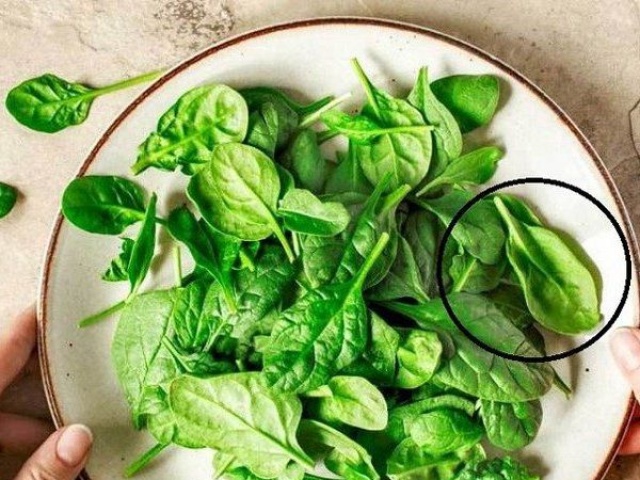 Ẩm thực - Loại rau nhìn qua tưởng cây dại nhưng được xem là "thần dược"