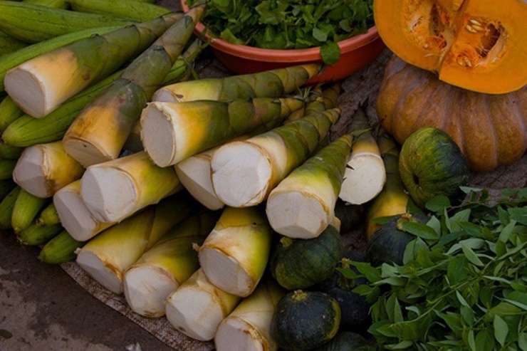 Măng ngon nhưng cần biết cách chế biến (Ảnh minh họa)