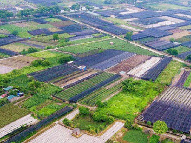 Quy định về đấu giá đất nông nghiệp của TP Hà Nội ”trái pháp luật”