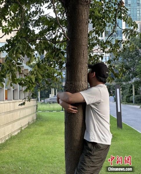 Việc ôm cây được lan truyền rộng rãi. Ảnh: Chinanews.