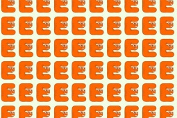 Thách bạn tìm ra điểm đặc biệt trong các bức ảnh này
