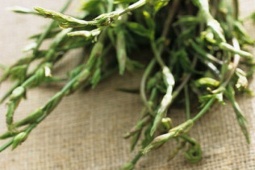 Thị trường - Tiêu dùng - Thứ nhìn như cỏ dại, có từ thế kỷ 18, bây giờ hàng chục triệu/kg