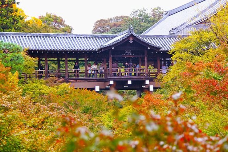 Đền Tofukuji là một trong những điểm tuyệt nhất để ngắm nhìn khung cảnh ấn tượng&nbsp;của những chiếc lá đầy màu sắc vào mùa thu. Đây là một trong những ngôi chùa Thiền chính ở Kyoto, và khu chùa lớn bao gồm khu vườn Thiền và cổng lâu đời nhất của các ngôi chùa Thiền ở Nhật Bản được chỉ định là Báu vật Quốc gia.

