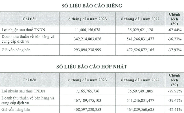 Các chỉ tiêu quan trọng trong báo cáo tài chính đều ghi nhận sụt giảm