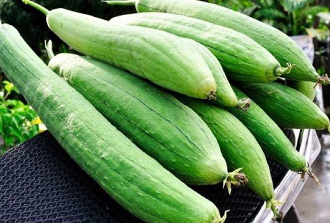 Quả mướp giàu vitamin. Ảnh minh họa.