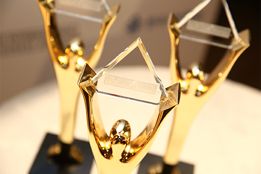 Viettel Money - ‘Tết Tận Hưởng’ dành giải Chiến dịch Marketing của năm tại International Business Awards 2023 - 1