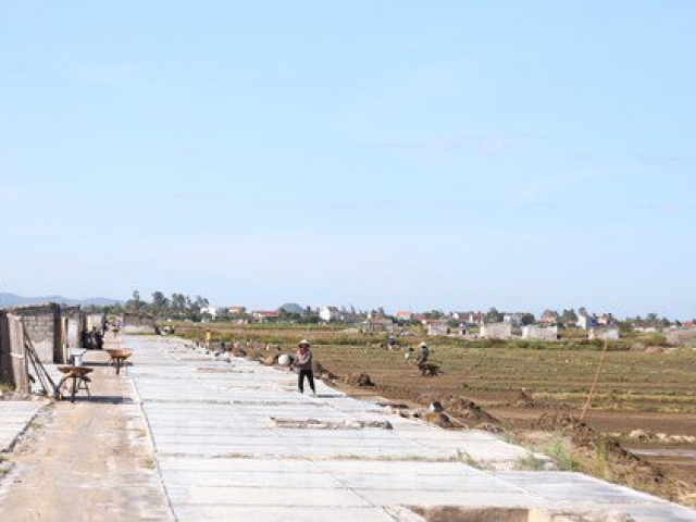 Thị trường - Tiêu dùng - Nghề phụ thuộc vào thời tiết, nắng càng to càng mừng