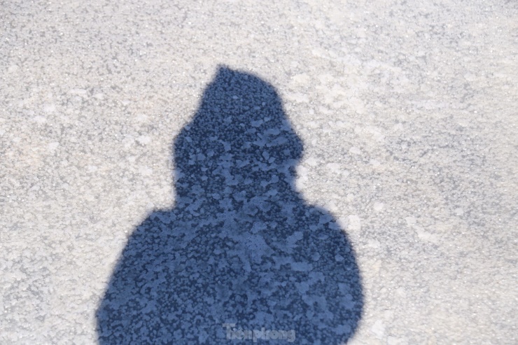 Từng ô muối trắng tinh như những "hạt ngọc".