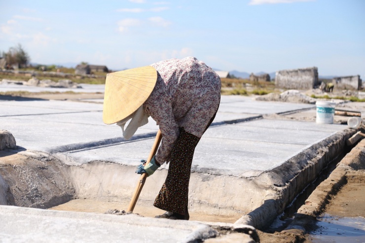 Bà Trần Thị Hòa (SN 1954) có 4 người con nhưng không ai theo nghề làm muối. Dù lưng đã còng, bà vẫn lặng lẽ ra đồng mỗi ngày, phơi mình dưới cái nắng chang chang. Nghề muối vất vả, cực nhọc, giá muối lại quá thấp nên những người như bà, không có việc gì làm mới bám trụ.
