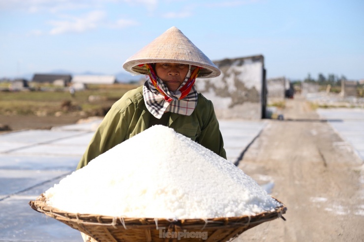 Với hơn 600ha làm muối, Quỳnh Lưu là địa phương có diện tích làm muối lớn nhất tỉnh Nghệ An, mỗi năm cung cấp cho thị trường trong và ngoài tỉnh gần 50.000 tấn muối.