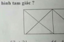 Giáo dục - du học - Mẹ làm toán lớp 1 của con đếm được 11 hình tam giác, phụ huynh khác náo loạn vì chỉ đếm được 8