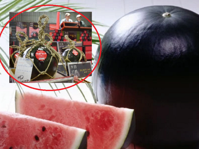 Ẩm thực - Cận cảnh loại dưa hấu "màu xấu xí" nhất thế giới có giá gần 150 triệu ngang xe SH nhập khẩu