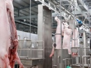 Thị trường - Tiêu dùng - Cấm cửa cơ sở giết mổ thủ công, đưa thịt sạch ra thị trường