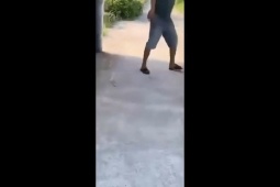 Phi thường - kỳ quặc - Video: Người đàn ông có "hơi men", liều lĩnh tấn công rắn hổ mang hung dữ
