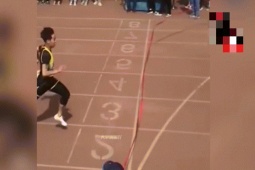 Clip hài hước - Những chú chó vào trường "quậy phá" vui cỡ nào