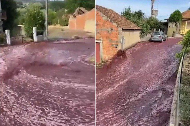Dòng rượu vang đỏ đổ tràn trên con đường ở ngôi làng của Bồ Đào Nha. (Ảnh từ clip)