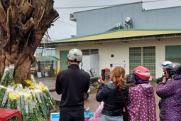 Tin tức trong ngày - Chính quyền khuyến cáo, giải thích về vụ vỏ cây có dáng mặt người