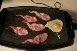 Tin vịt: Xem tin tức mà tưởng đọc truyện tiếu lâm