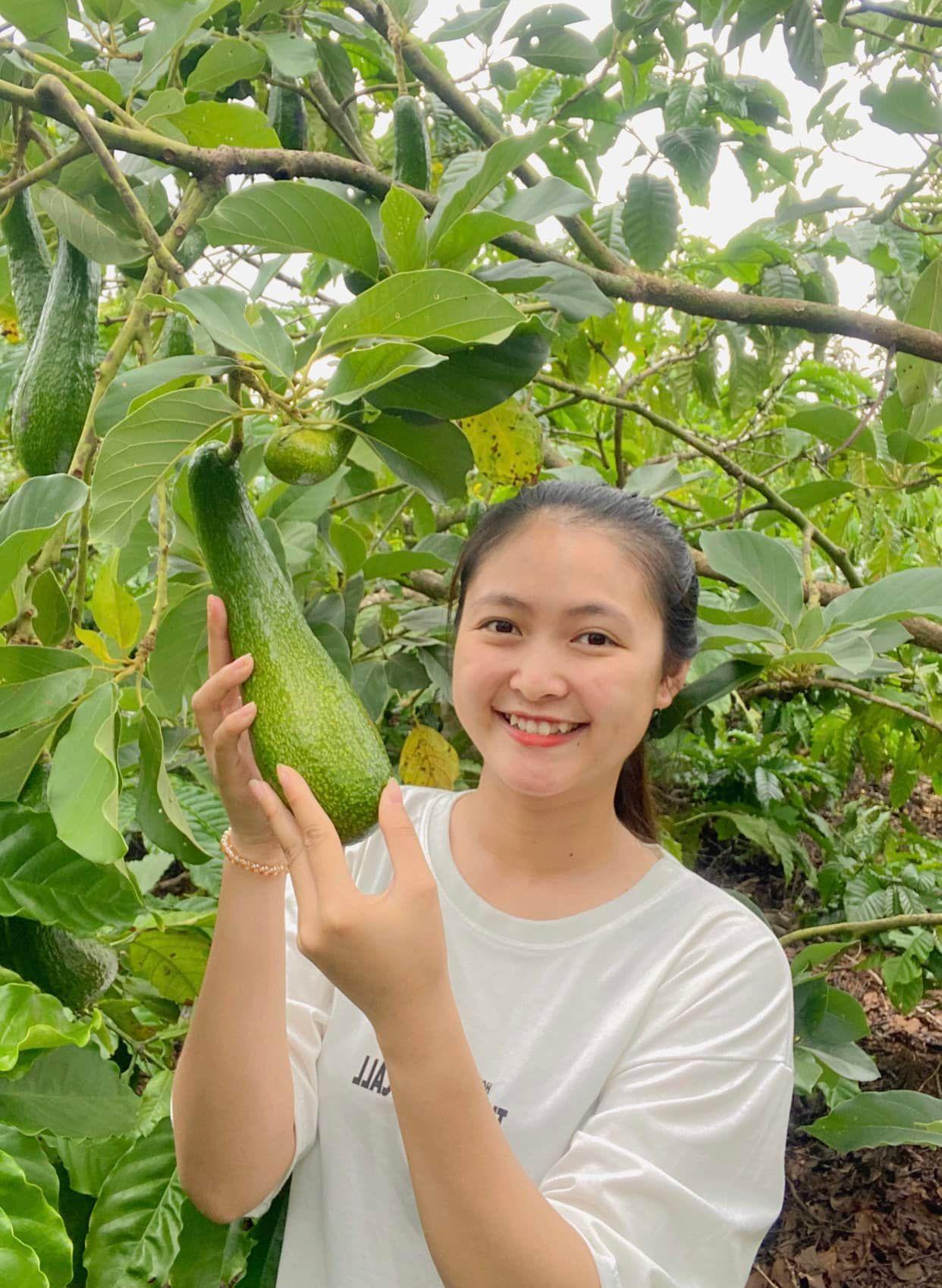 Trang ở Đak Lak: Khi mùa dịch thách thức và quyết định trở về với nông nghiệp - 2