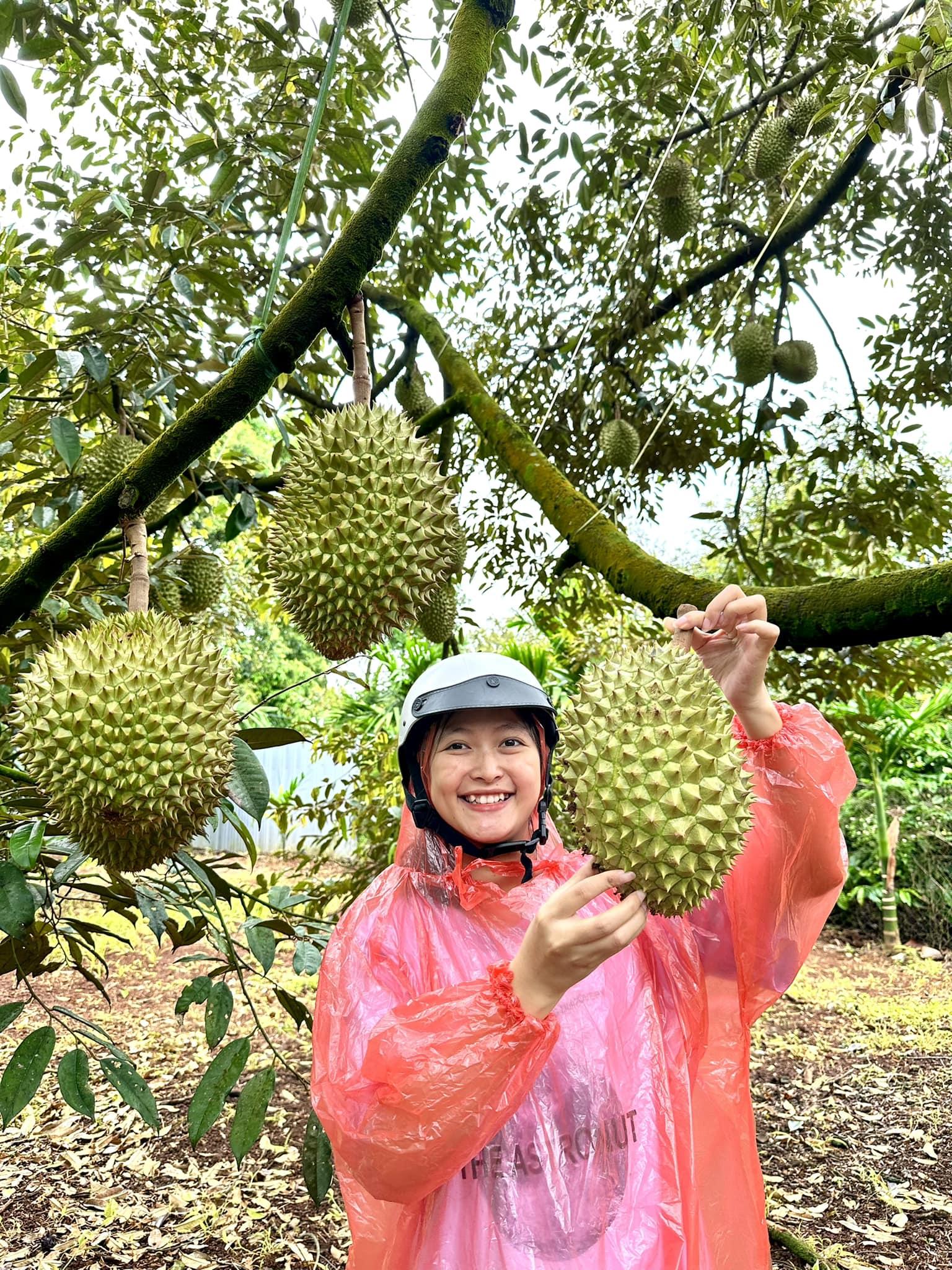 Trang ở Đak Lak: Khi mùa dịch thách thức và quyết định trở về với nông nghiệp - 5