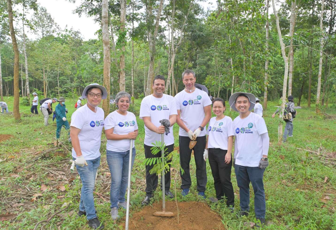 Các cán bộ nhân viên và tập thể ban lãnh đạo của P&G Việt Nam cùng chung tay tham gia hoạt động trồng rừng