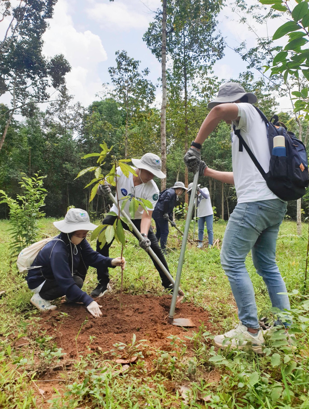 Sáng kiến trồng rừng này tạo cơ hội tuyệt vời để góp phần nâng cao nhận thức cho đội ngũ nhân viên