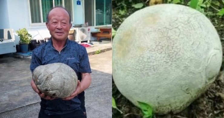 Ông Seo Ki Seok đã phát hiện vật thể lạ, kích thước lớn, màu trắng, trọng lượng khoảng 2kg. Ảnh:&nbsp;Chosun.