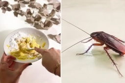 Bạn trẻ - Cuộc sống - Làm thứ này sẽ khiến “tiểu cường” không dám bén mảng vào nhà