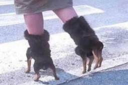 Tranh vui - Loạt ảnh “khó hiểu” khiến bạn đặt ra rất nhiều câu hỏi